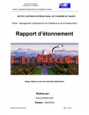 Rapport de stage resideal