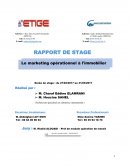 Rapport de stage, commerce international