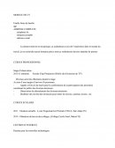 Modèle De CV