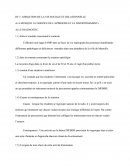 Projet D'animation