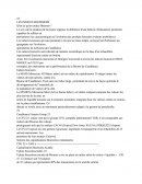 Les Indices Bourisers