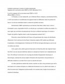 Solidarité Numérique