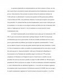 Dissertation : La QPC (question préjudicielle de constitutionnalité) Devant Le Conseil Constitutionnel Français