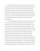 Dissertation : La QPC (question préjudicielle de constitutionnalité) Devant Le Conseil Constitutionnel Français