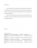 Rapport De Stage Import Export