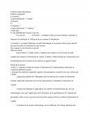 Contrat D'audit Informatique