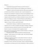 L'héliogravure