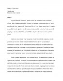 Rapport D'observation Developpement De L'enfant