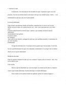 Rédiger Une Dissertation