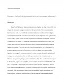 Dissertation : Le Contrôle de Constitutionnalité des lois est-il un progrès pour la démocratie ?