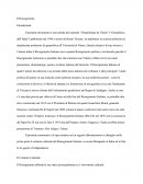 Il Risorgimento (synthèse en espagnol)