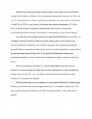 Analyse de l'entreprise multinationale Michelin