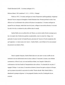 l aventure ambigue summary