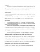 Exemple d'un plan De Mémoire