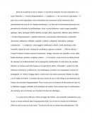 Exemple et conseil pour rédiger une Dissertation