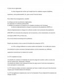 Le centre de formalités des entreprises (CFE)