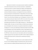 Les Flux D'IDE
