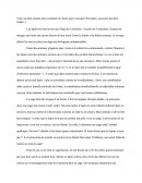 Lapins, résumé pour bien s'occuper d'eux