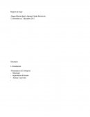 Pse Rapport de stage