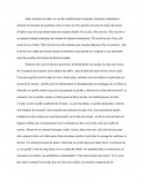 Extrait d'un passage du roman Germinie Lacerteux de Jules de Goncourt et Edmond de Goncourt