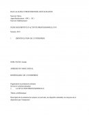 Fiche descriptive d'activité professionnelle - stage