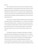 Étude du film Fight Club de Fincher