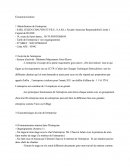 Rapport De Stage ECO Gestion Term TBEE