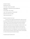 Rapport De Pse