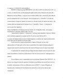 Etude de cas: le groupe Engibat