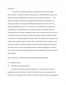 Étude Marketing: l'entreprise Zara