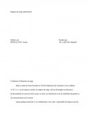 Rapport De Stage Archimédia