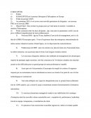 Etude de cas: le groupe Eurocopter