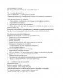 Responsabilité Civile