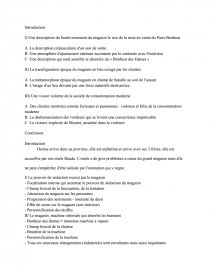 dissertation au bonheur des dames zola dissertation au bonheur des dames zola