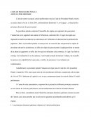 Commentaire De L'Article Préliminaire Du Code De Procédure Pénale: les principes directeurs du procès pénal