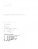 SARL Sadouni Expertise et Conseils