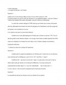 Lecture Analytique Le nègre De Surinam