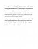 Analyse du site commercial : « Shopping center feest-en kultuurpaleis »