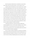 La Représentation Visuelle