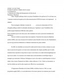 Enquête publique relative au projet d'installation d'un pylône de 24 m de haut avec 3 antennes émettrices/réceptrices de radiocommunication (GSM) du réseau xxx