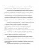 L'industrie maritime (document en espagnol)