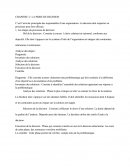 La Prise De Decision