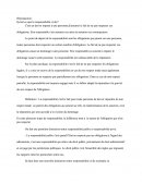 Responsabilité Civile