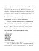 Le Diagnostic De L'annonceur