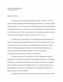 Rapport de stage ITEP