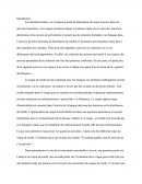 Quels sont les différents types du risque de crédit ? Comment est ce qu’on peut les évaluer ? Et surtout quelles sont les moyens de s’en prévenir ?