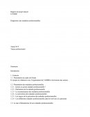 Rapport de projet tuteuré LP D2SP