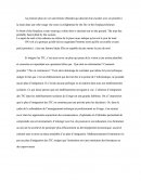 Les TIC (document en anglais et français)