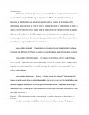 Le processus de transformation du vin
