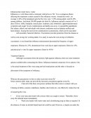 La grippe en hiver (document en esapgnol)